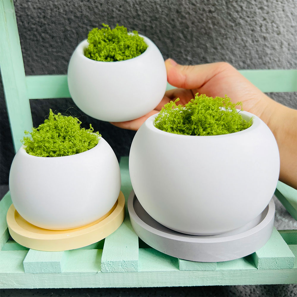 Spherical Flowerpot Silicone M - Potsticker Mold review and price